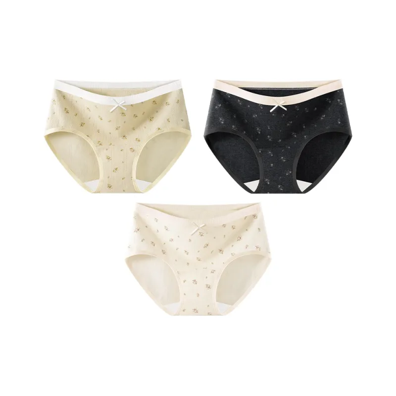 2323 Underpants Women's Combo Set-12