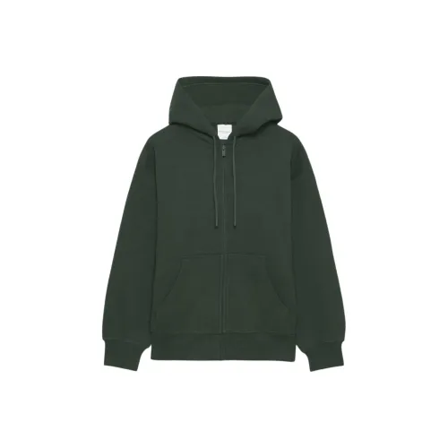 ARITZIA Sweatfleece Cozy Fleece Boyfriend Zip Hoodie Sweatshirt Women's Scarab/Scarab Beetle Color