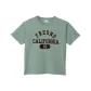 Light Gray Green