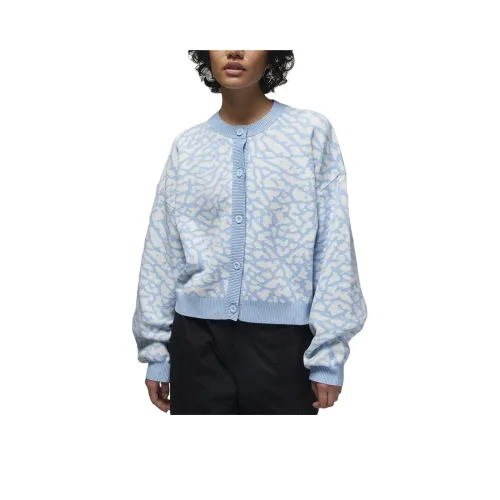JORDAN Flight Knitwear Women's Ice Blue