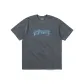 Charcoal Gray