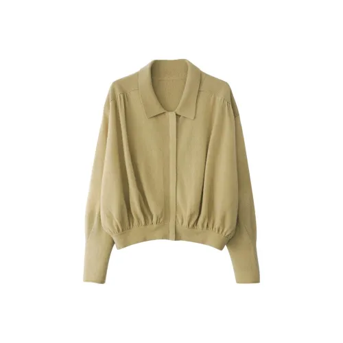 VERA VEINS Knitwear Women's Beige Green