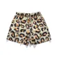 Leopard Brown