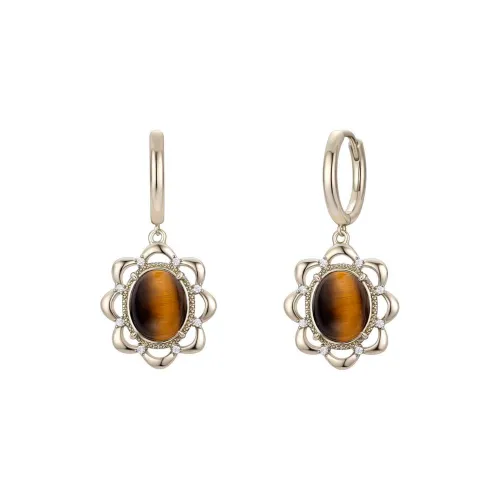 BLINK DAY Tiger's Eye Stone Earrings Women's