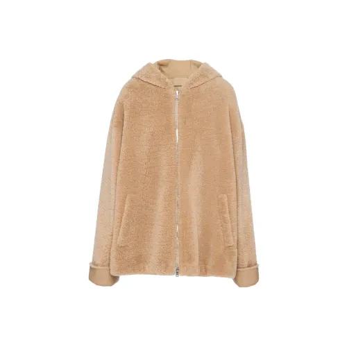 PRADA FW23 Jackets Coats Women's Khaki