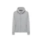 Silver Gray