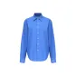 Robin Blue