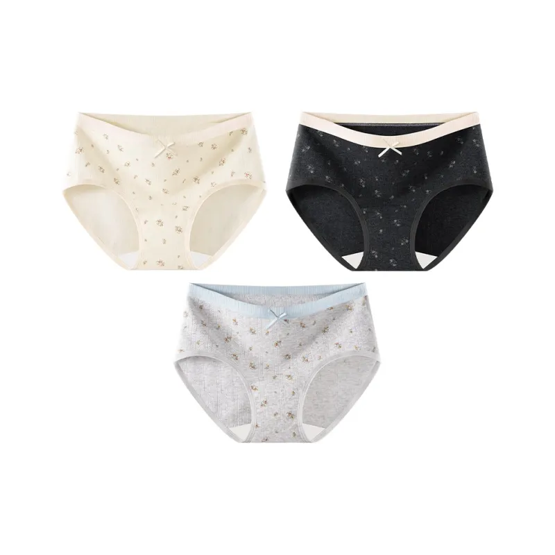 2323 Underpants Women's Combo Set-9
