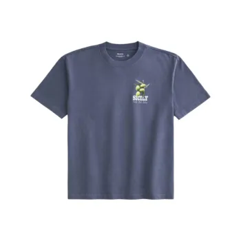Hollister T Shirt Men's Light Marine Blue