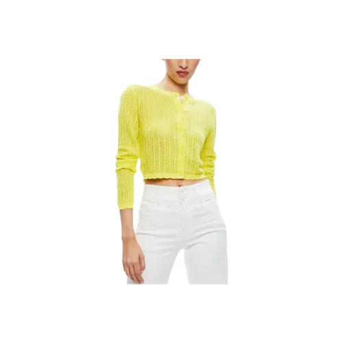 ALICE+OLIVIA SS24 Cashmere Sweater Women's Yellow