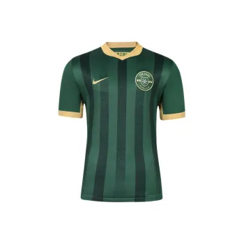 Nike FC PROFESSIONAL Soccer Jerseys Men's Green