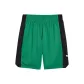 Archive Green/Black