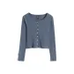 Blue Gray
