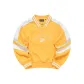 Apricot Yellow Orange