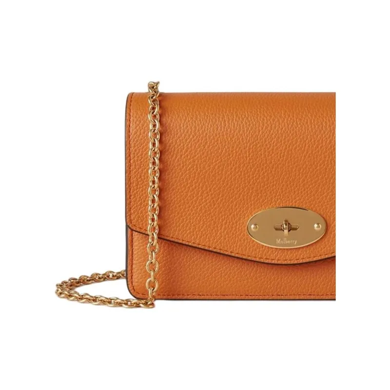 Mulberry Darley Small Grain Leather Handheld Crossbody Bag Shoulder Bag Women's Sunset Yellow-4