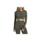 Basic Green Mudstone Gray