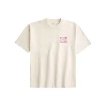 Hollister T Shirt Men's Dark Color Cream