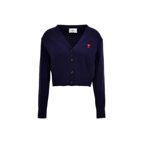 AMIPARIS Knitwear Women's Blue