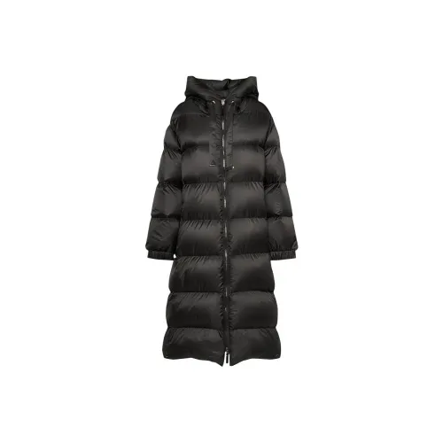 MaxMara Seipa Padded Down Coat