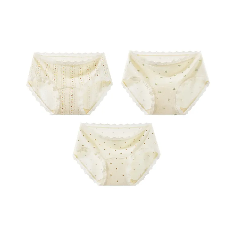 2323 Underpants Women's Combo Set-4