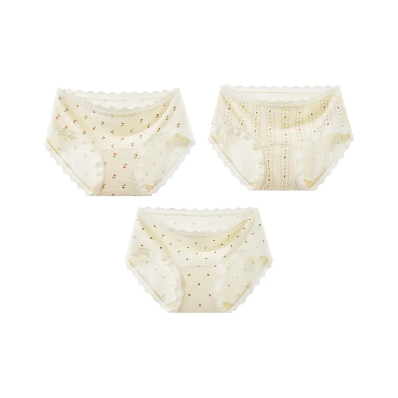 2323 Underpants Women's Combo Set-6