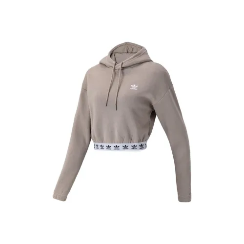Adidas Originals Sweatshirt Women's Brown