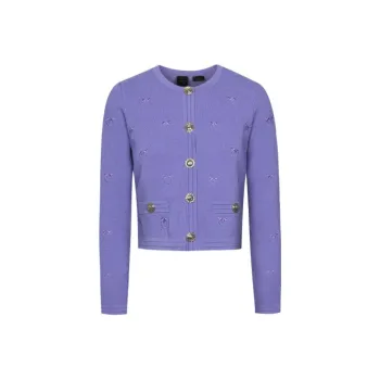 PINKO Knitwear Women's Purple