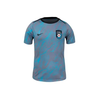 Nike Chicago Stars Fc 2025 Men's Nike Nwsl Short Sleeve Pre Match Top
