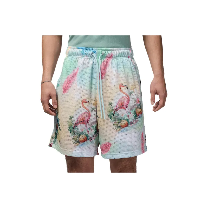 Jordan Essentials Men's Printed Mesh Shorts-0