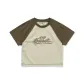 Light Khaki & Brown