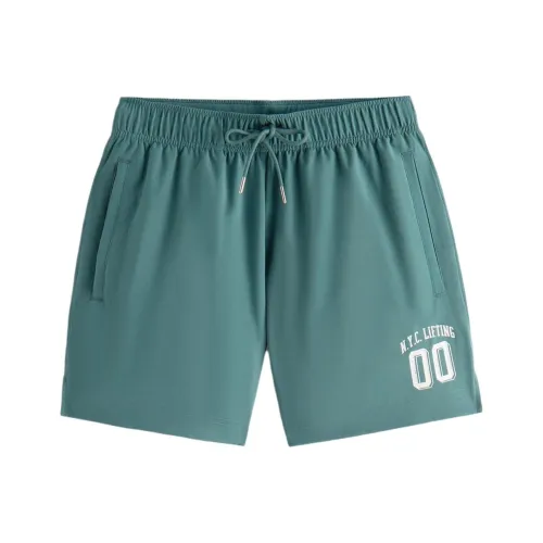 Abercrombie＆Fitch Casual shorts Octavia Men's Green