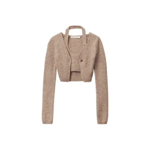 Alexander Wang Cashmere Sweaters Women's Brown