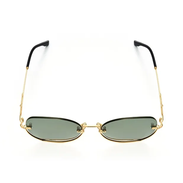 THE OWNER Plate Frame Irregular Shape Sunglasses Unisex-4