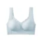 1 Pack (Blue)