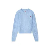 Sky Blue C1Z