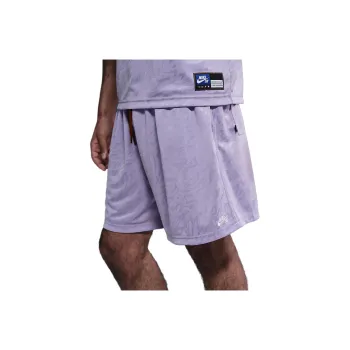 Nike Sb Dri FIT Skate Shorts