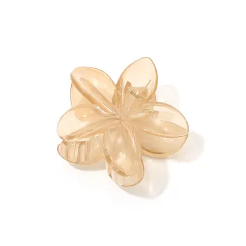 Like A Dream Acrylic Hair Clips Women's
