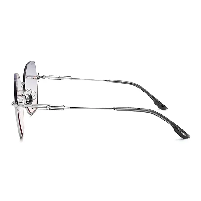 THE OWNER Plate Frame Irregular Shape Sunglasses Unisex-9