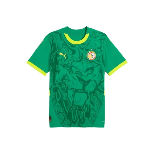 PUMA SENEGALDRYCELL Soccer Jersey Men's Sports Green/Electric Glow Yellow