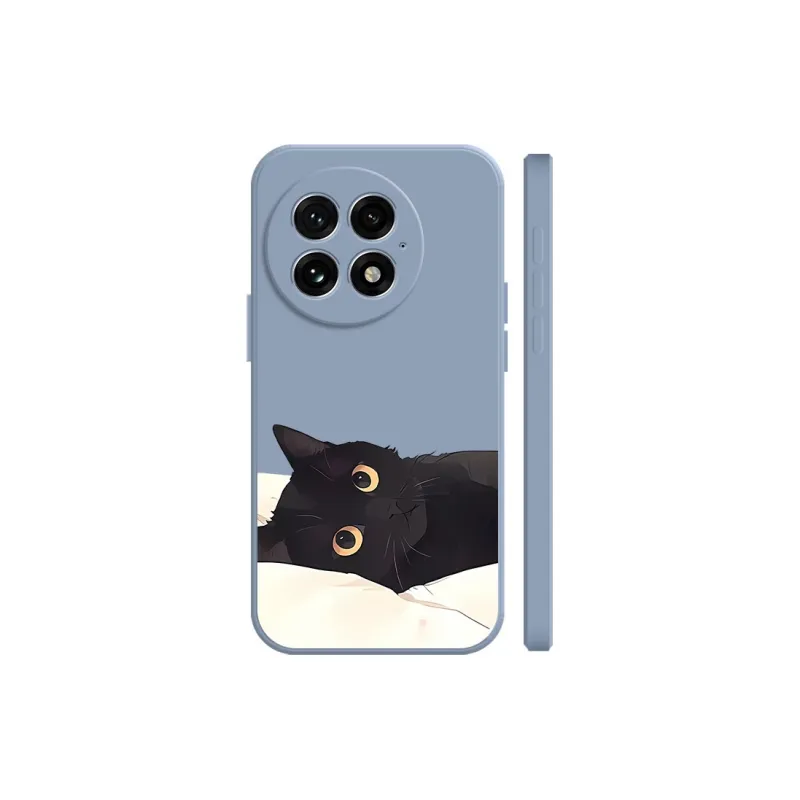 BAOCHENG Phone Cases-10