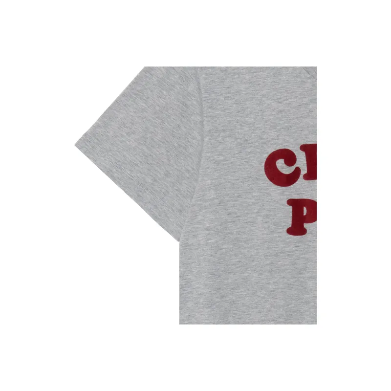 CELINE T Shirts Men Gray-7