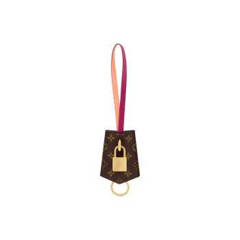 LOUIS VUITTON Plexiglass Bag Accessory Women's Brown