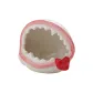Pink Cannibal Flower Ashtray