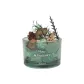 Healing Forest — Essential Oil Not Included