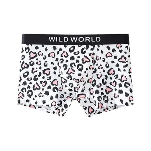 ROBINHOOD Underpants Men's Combo Set-5