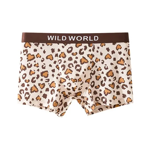 ROBINHOOD Underpants Men's Combo Set-10