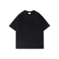 Minimalist Style Black Baby's Breath