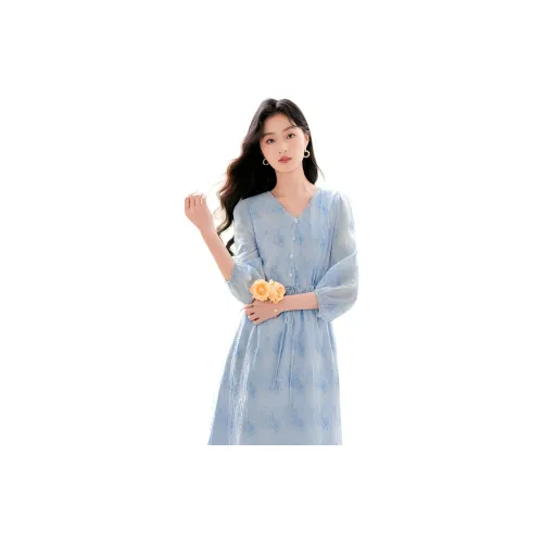 Like The Age Of Water Spring Long Sleeved Dress Regular Women's Blue
