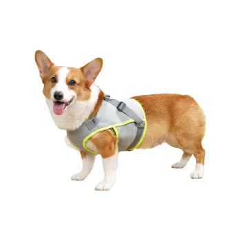 A good thing Leashes