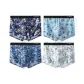 Royal Blue, Light Blue, Sky Blue, Light Gray